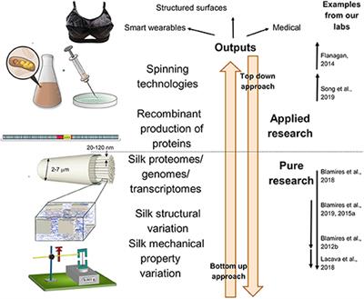 Spider Silk Biomimetics Programs to Inform the Development of New Wearable Technologies